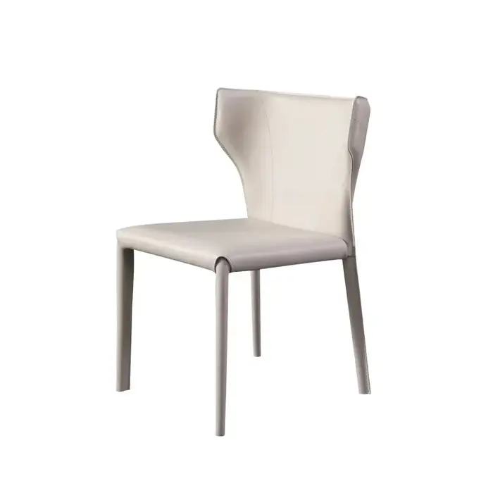 Ensemble de 2 chaises de salle à manger ergonomiques, esthétiques, confortables, modernes, de luxe, 