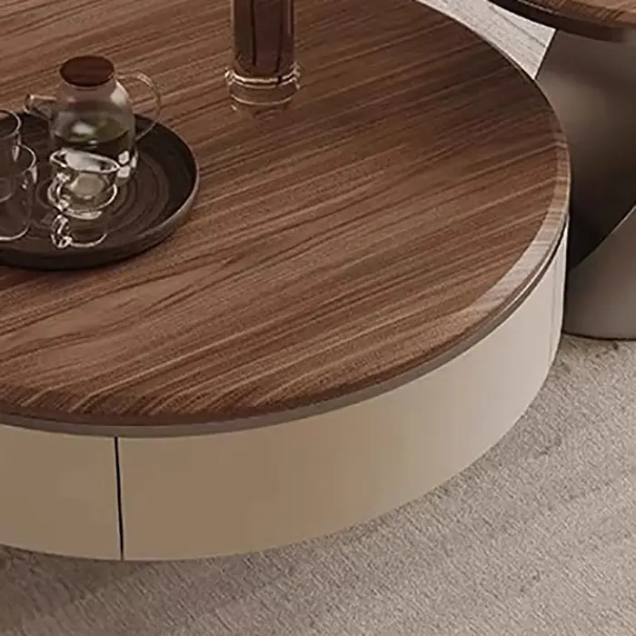 Table basse moderne De luxe élégante beauté nordique Tables basses à la mode délicatesse Unique Mesa De Centro Sala meubles De salon