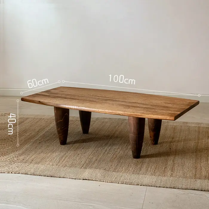 Table basse minimaliste du milieu du siècle, rectangulaire de luxe, esthétique, pour salon, Glamour,