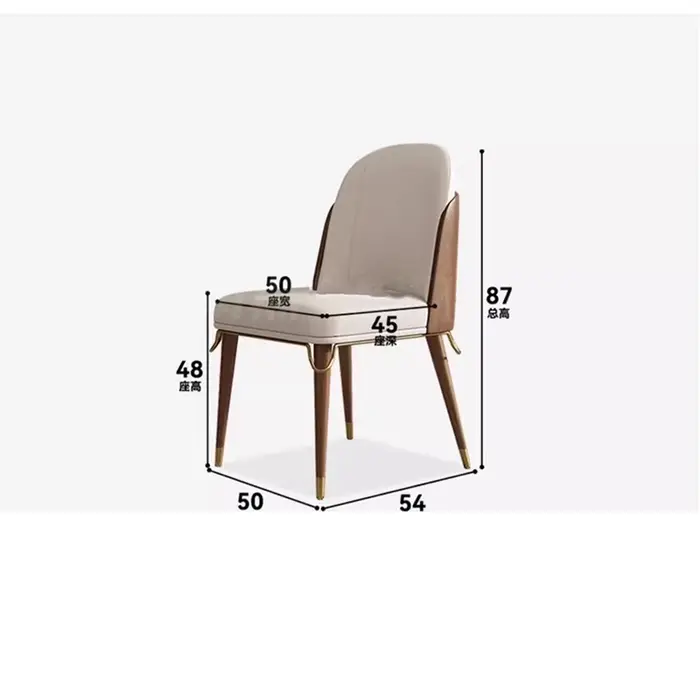 Ensemble de 2 chaises de salle à manger modernes Premium
